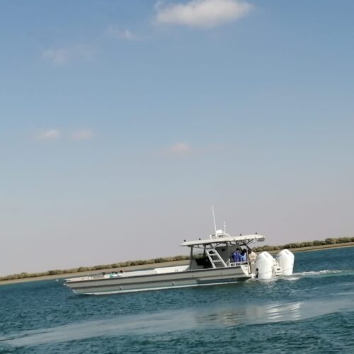 IMG-20240219-WA0000