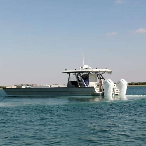 IMG-20240219-WA0003