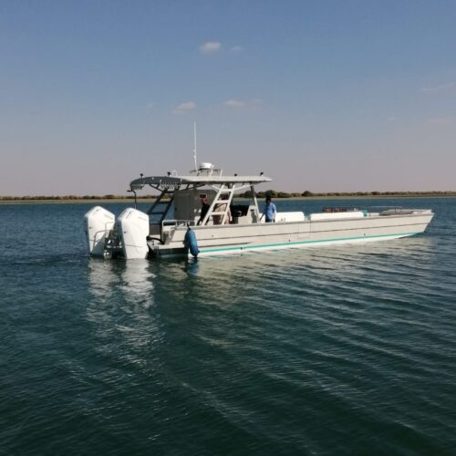 IMG-20240219-WA0004