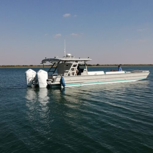 IMG-20240219-WA0007
