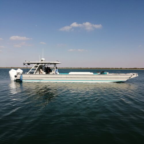 IMG-20240219-WA0008