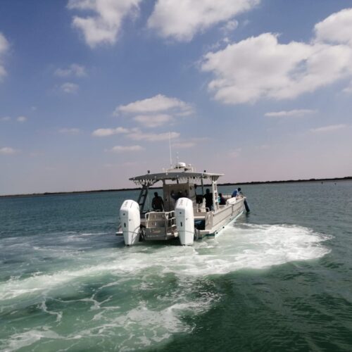 IMG-20240219-WA0015
