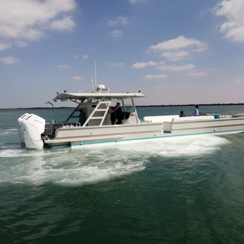 IMG-20240219-WA0018